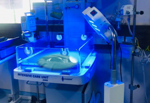 NICU equipment phototherapy machine