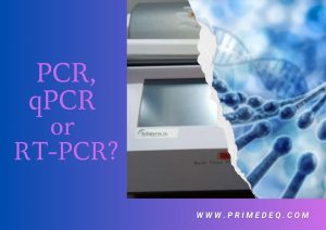 RT-PCR machine