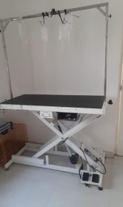 Veterinary Exam table