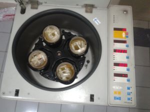 Thermo Fischer Cryo Centrifuge 4 bucket Varifuge 3ORS , 4 bucket centrifuge blood bank , blood bank centrifuge , cryocentrifuge, buy sell medical equipment, primedeq, medical equipment marketplace,medical equipment, e-marketplace, biomedical equipment onl