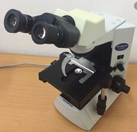 Olympus CX31 Upright Microscope