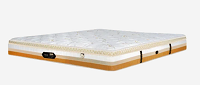 Buy Orthopaedic UV PROOF MATTRESS at best price in India