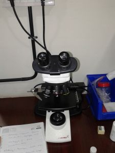 Labomed Binocular Microscope, binocular microscope, online medical equipment, laboratory equipment online, used lab equipment, buy sell medical equipment, primedeq, medical equipment marketplace,medical equipment, e-marketplace, biomedical equipment onlin