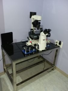 Nikon ICSI - Inverted Microscope Eclipse Ti-u with Ri- Micromanipulator