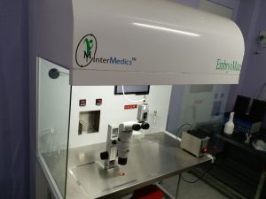 Inter Medics Integrated Laminar Air Flow 4X 2X2 Embryo Mate