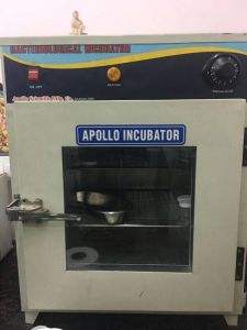 Apollo Bacteriological Incubator