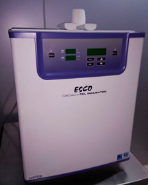 CO2 Incubator for IVF lab , buy Esco Co2 incubator for IVF Lab