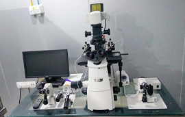 Narishige Nikon TCI Eclipse Microscope ICSI