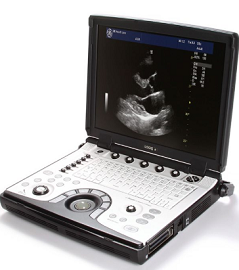 GE LogiQ E portable sonography machine at best price