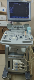 GE LogiQ P5 Ultrasound Machine