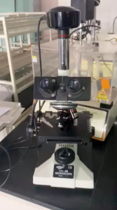 Phase Contrast Microscope