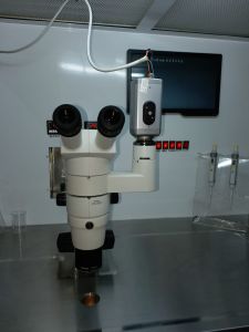Nikon Sterozoom Trinocoluar Microscope  with camera and monitor SMZ 800