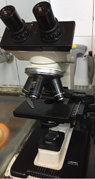 Labomed Vision 2000 Microscope 