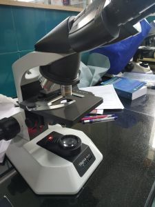 Used Microscope