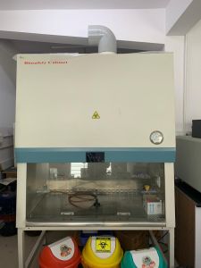 Genesys Biosafety Cabinet at lowest price possible