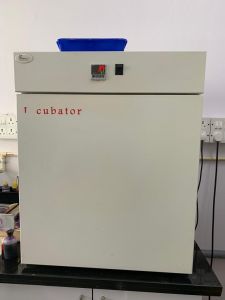 Buy used Genesys Incubator at best price